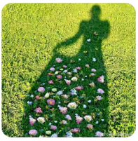 一个普通日子的细碎光亮