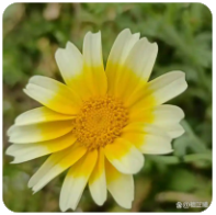 生活不需要那么“用力”