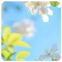 生活不需要那么“用力”