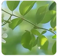 一个普通日子的细碎光亮