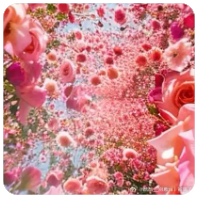 生活不需要那么“用力”